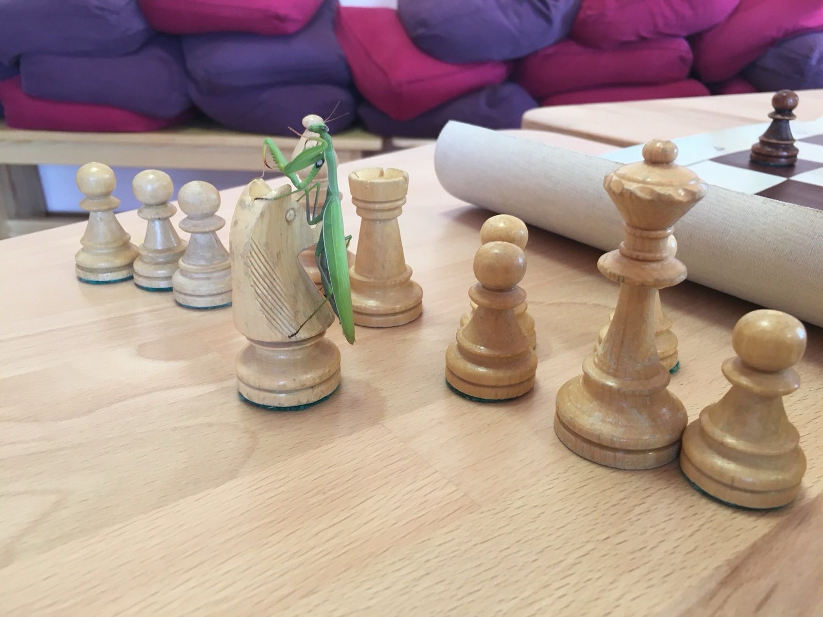 Sasha lecturing Bath Chess Club members